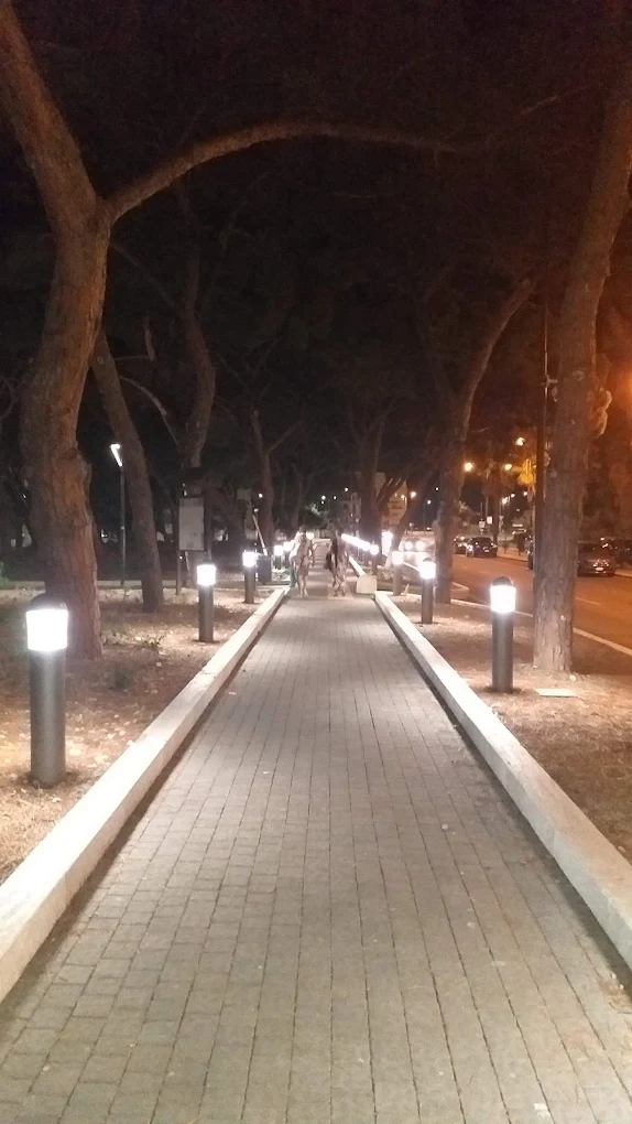 View of Pineta Zerbi with tall maritime pine trees lining a shaded walking path near Reggio Calabria’s waterfront