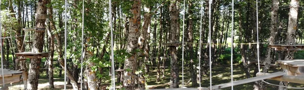 Aspropark: Adventure and Nature in the Heart of Aspromonte Reggio Calabria